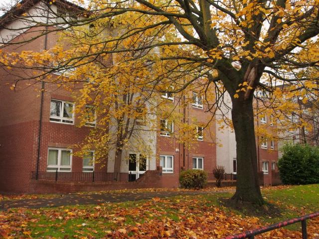 1 bedroom Flat To Rent