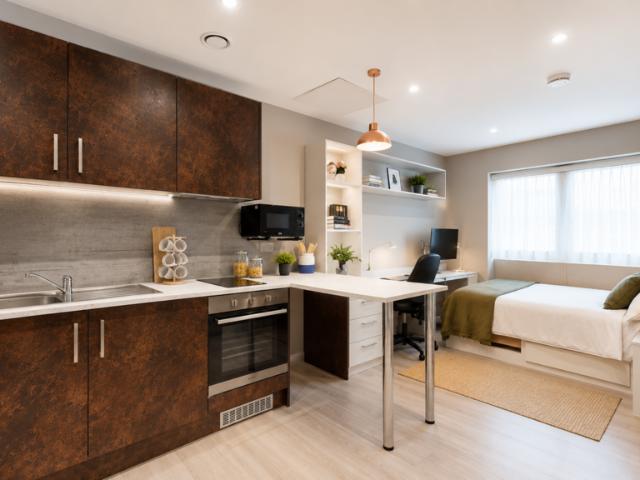 1 bedroom flat to rent