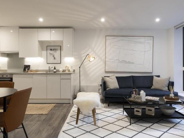 1 bedroom flat to rent