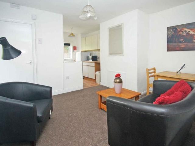 1 bedroom flat to rent