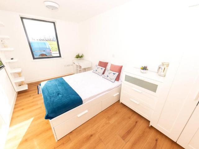 1 bedroom flat to rent
