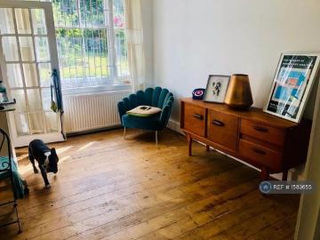 1 bedroom flat to rent