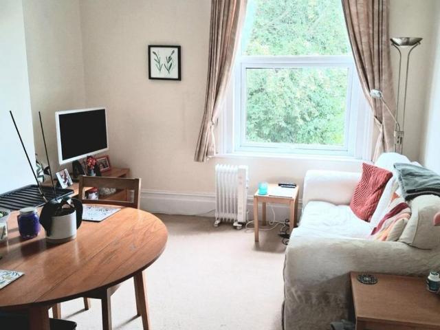 1 bedroom flat to rent