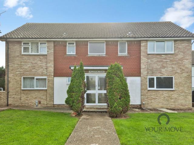1 bedroom flat to rent