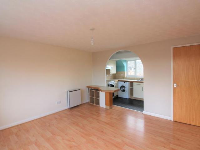 1 bedroom flat to rent