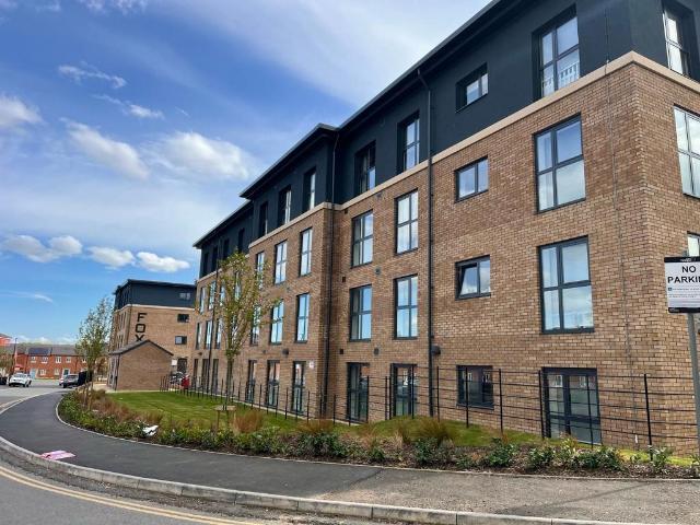1 bedroom flat to rent