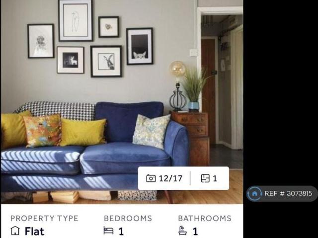 1 bedroom flat to rent