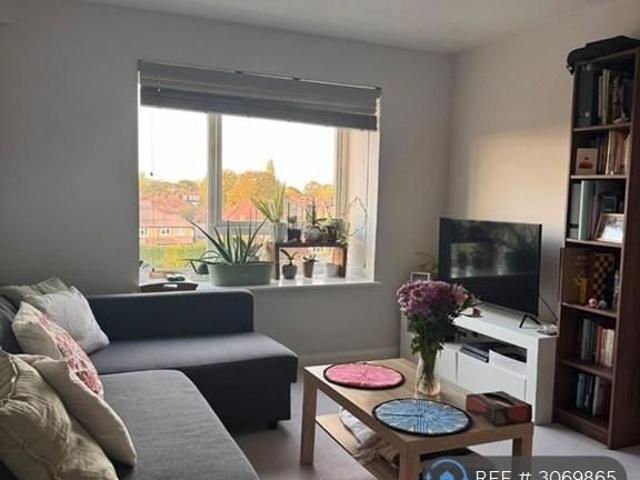 1 bedroom flat to rent
