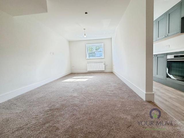 1 bedroom flat to rent