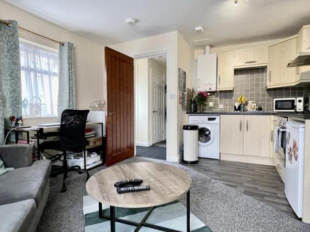 1 bedroom flat to rent