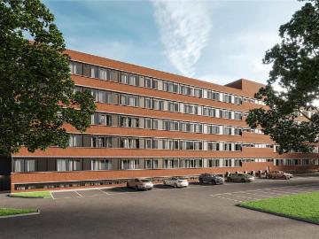 1 bedroom flat to rent
