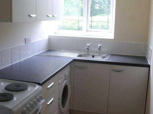 1 bedroom flat to rent
