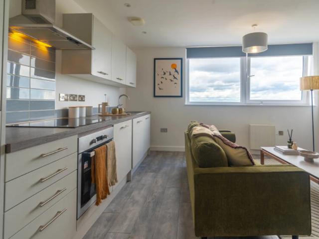 1 bedroom flat to rent