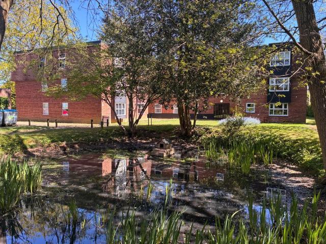 1 bedroom flat for sale