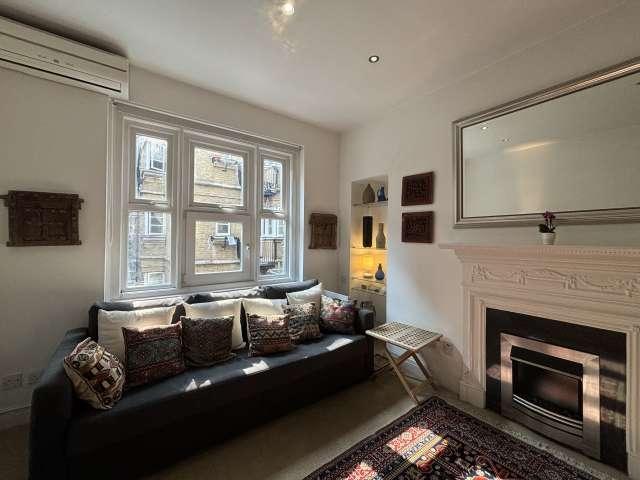 1 bedroom flat for rent in London
