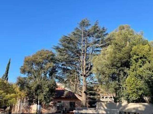 1 Bedroom Flat in Albertville