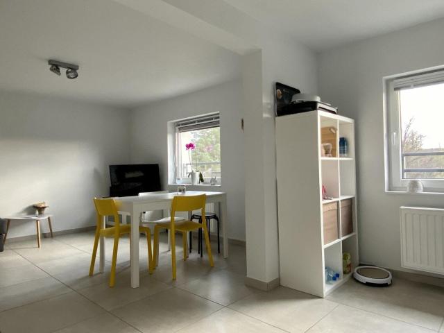 1 bedroom flat + office, shared garden, cellar and parking