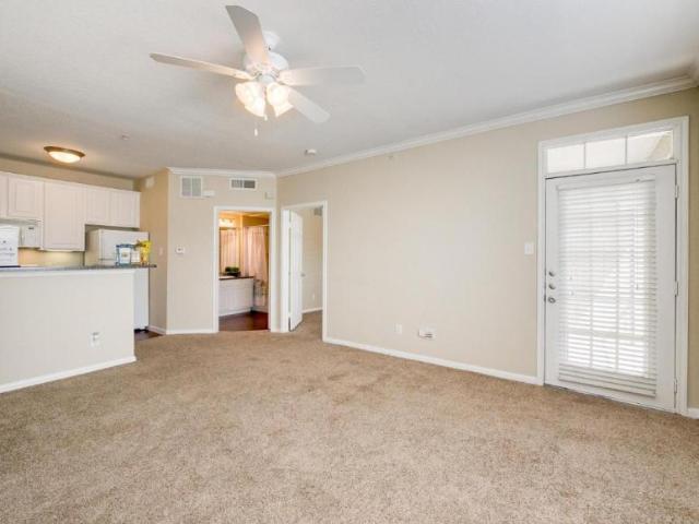 1 bedroom, Frisco TX 75034 104882609