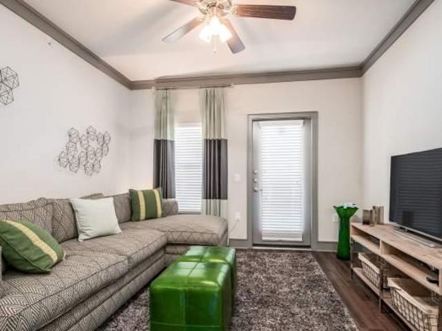 1 bedroom, Frisco TX 75036 104859510