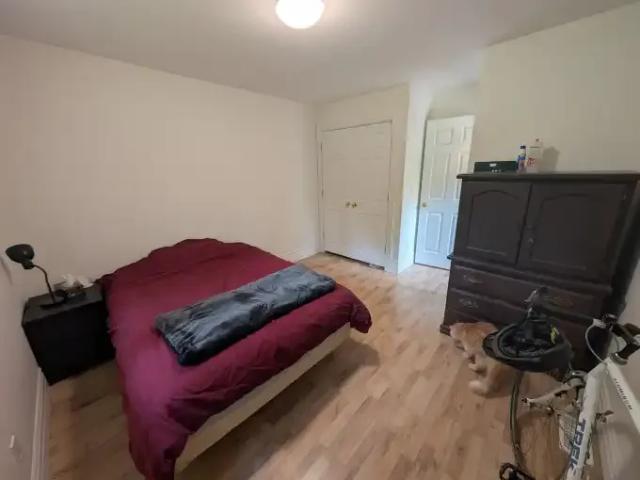 1 Bedroom House Guelph ON 104401469