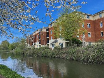 1 bedroom flat for sale