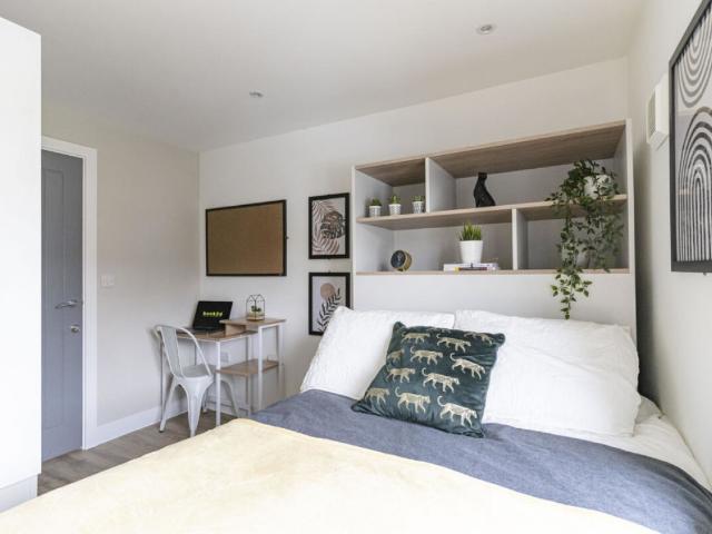 1 bedroom House of Multiple Occupation To Rent