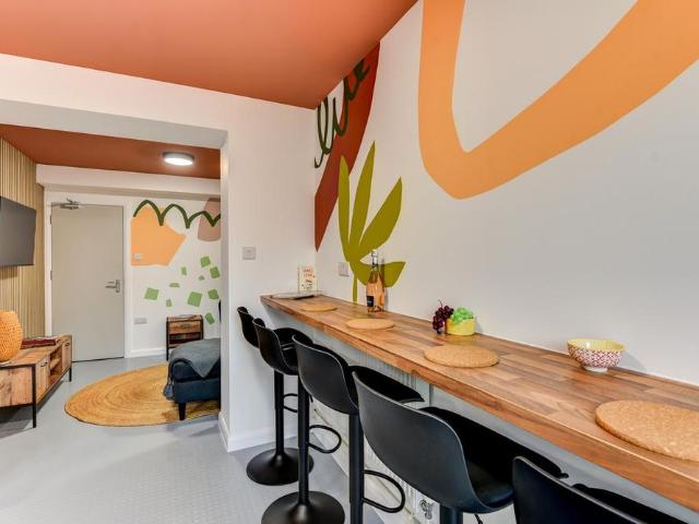 1 bedroom house of multiple occupation to rent