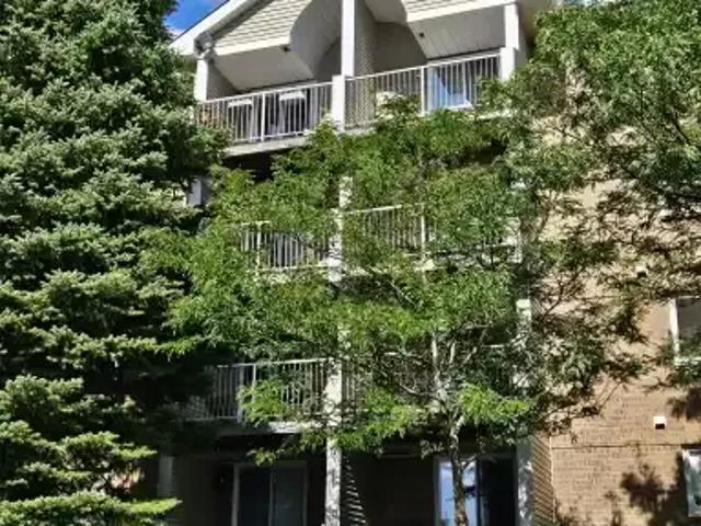 1 Bedroom House Ottawa ON 103695135