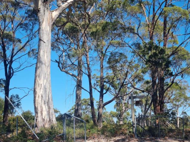 1 Bedroom House MURDUNNA TAS 104949685
