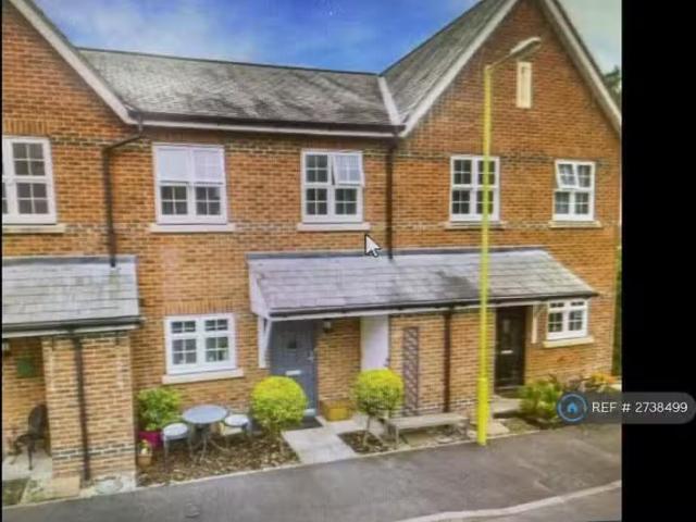 1 bedroom house share for rent in Lime Tree Court, London Coln.