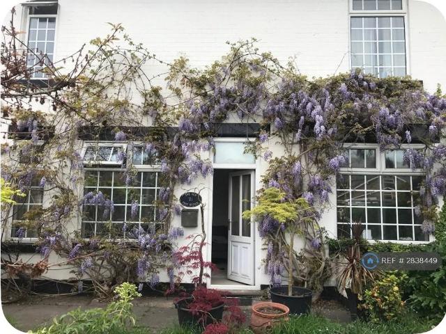 3 bedroom flat to rent