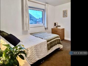 Derby, Derbyshire county, Midlands - Garden