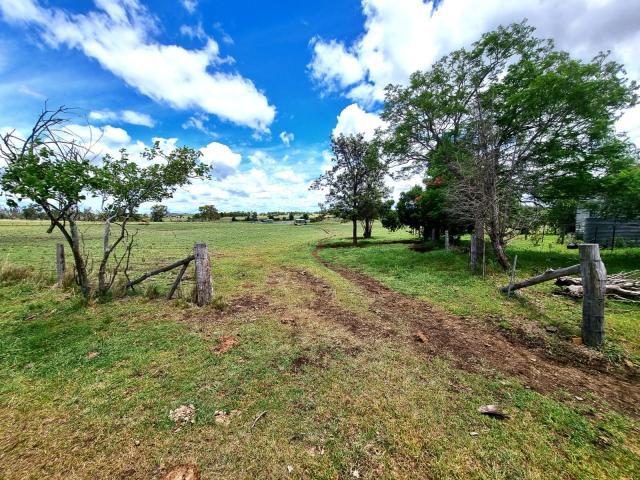 1 Bedroom House PITTSWORTH QLD LS81205396