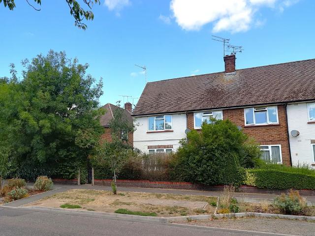 1 bedroom house to rent