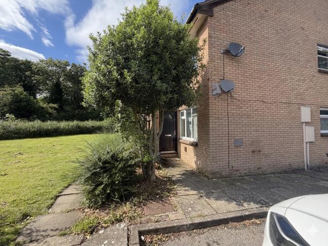 1 bedroom house to rent