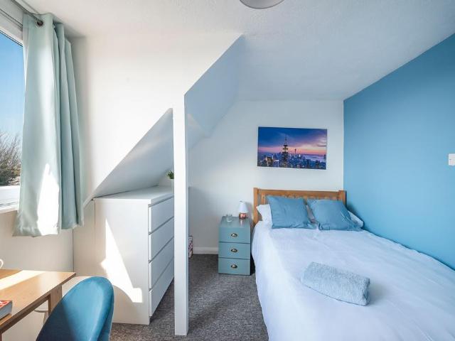 1 bedroom house to rent