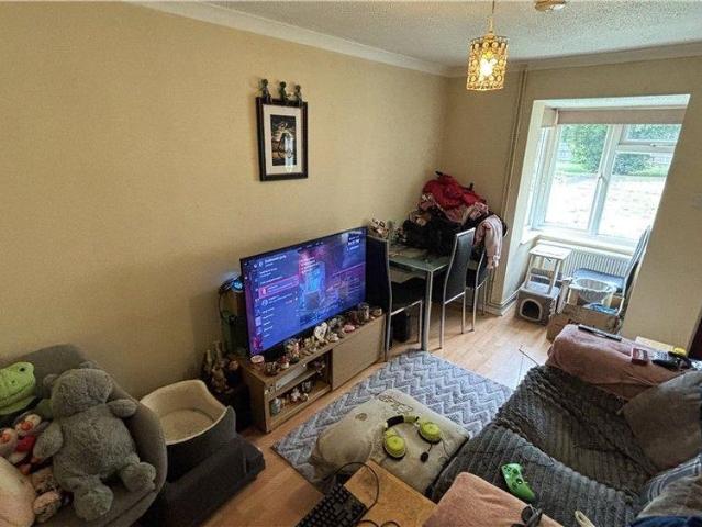 1 bedroom house to rent