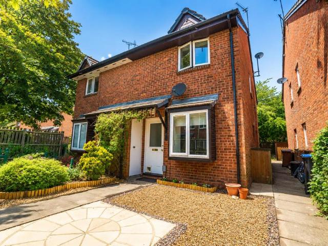 1 bedroom house to rent