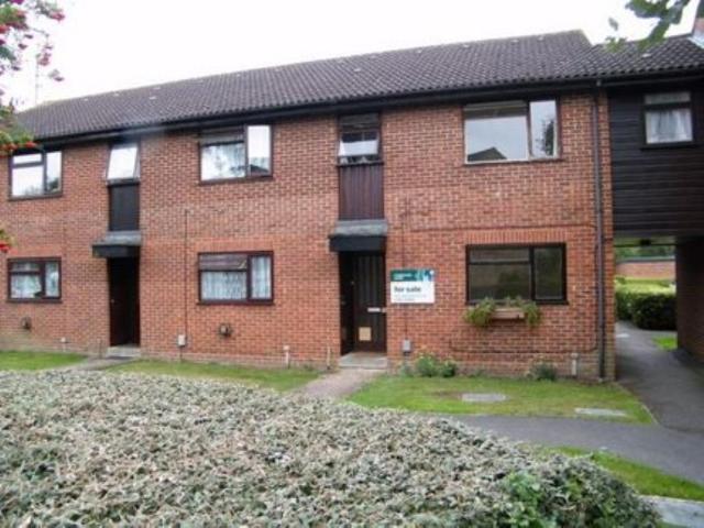 1 bedroom house to rent