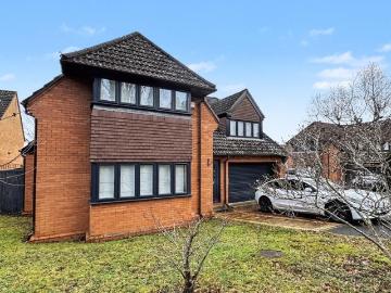 1 bedroom house to rent