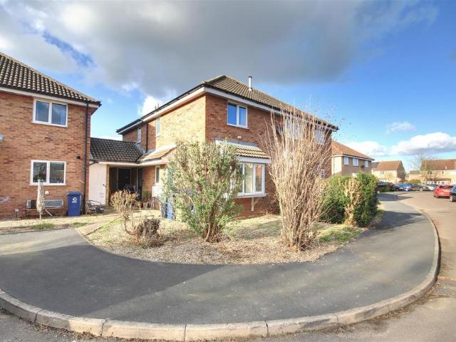 1 bedroom house to rent