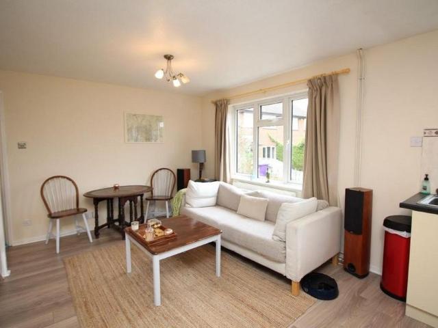 1 bedroom house to rent