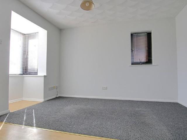 1 bedroom house to rent