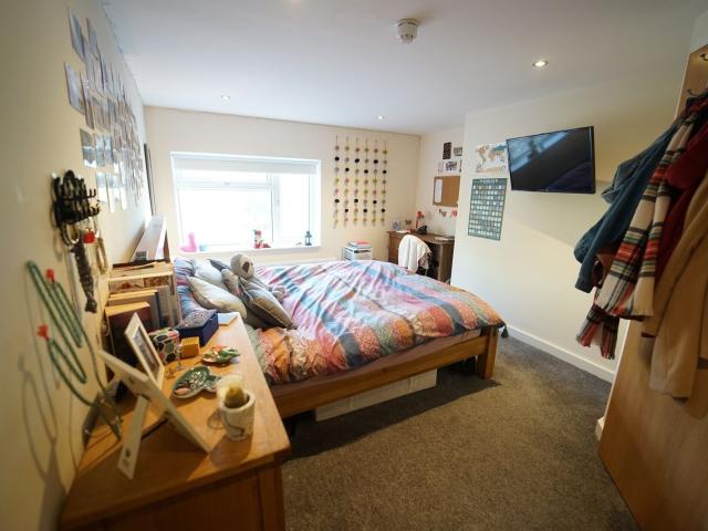 1 bedroom house to rent