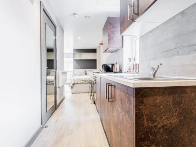 1 bedroom house to rent
