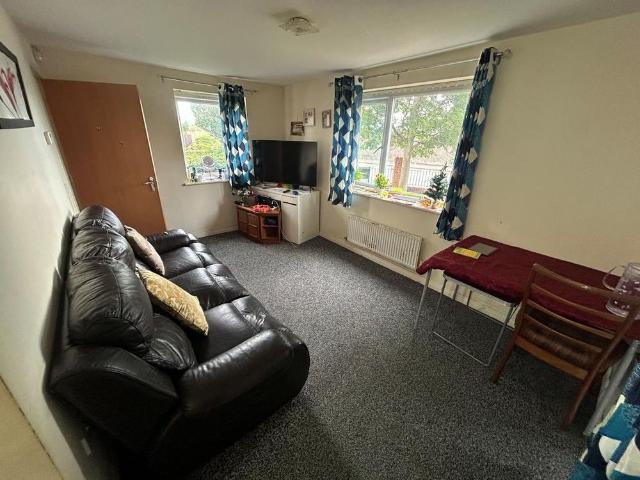 1 bedroom house to rent