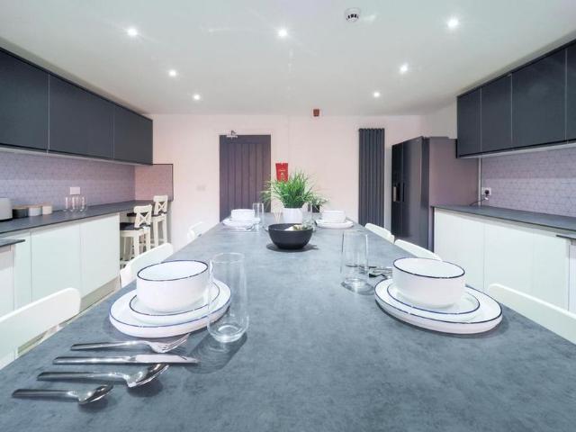 1 bedroom house to rent
