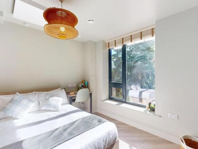 1 bedroom house to rent