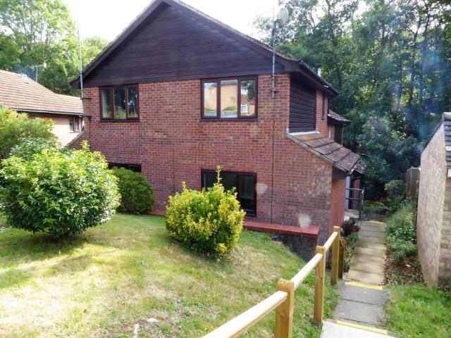 1 bedroom house to rent
