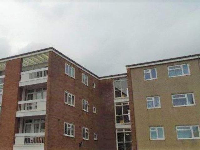 1 bedroom house to rent